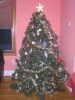 Christmas Tree 2011